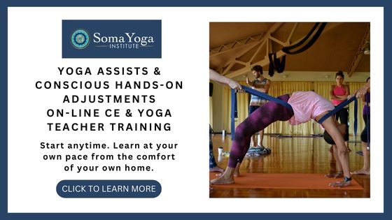 Best Yoga Adjustments Workshops Online - Soma Yoga Institute