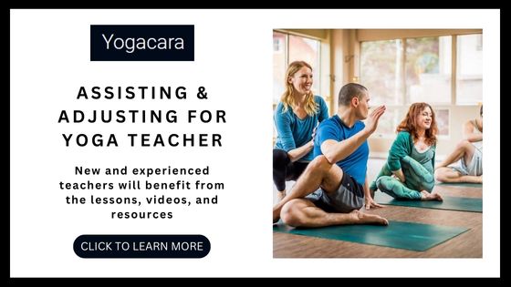 Best Yoga Adjustments Workshops Online - Yogacara