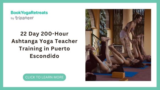 Best Yoga Retreats in Mexico - Walked Wellness Retreat
