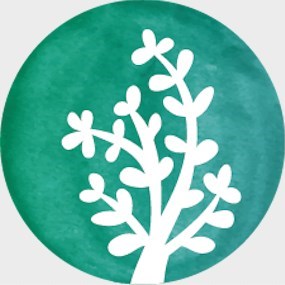 The Branches Yoga Teacher Training School