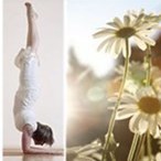 Yogassva Magglingen/Biel logo