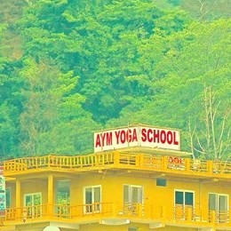 AYM YOGA SCHOOL