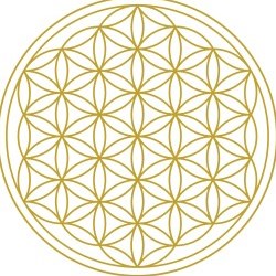 Nature Yoga Teacher Training