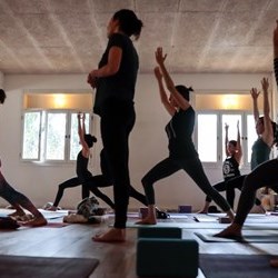 Yoga Levontin