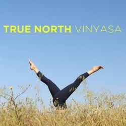 True North Vinyasa 200hr Teacher Training logo