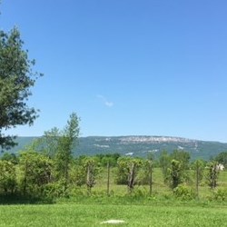 Stone Wave Yoga Teacher Training