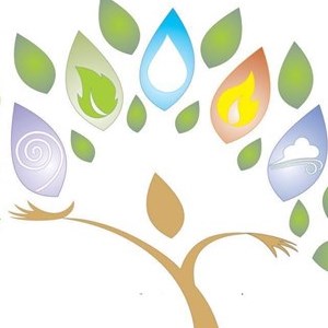 ElemenTree Yoga School