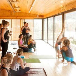 Alpha Yoga School