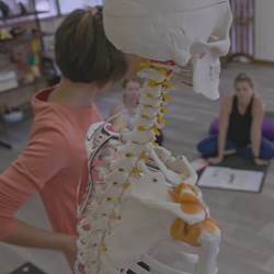 The Yoga Tree Okinawa