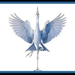 Blue Heron Holistics School of Yoga