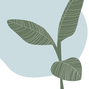 The Flow of Life Yoga