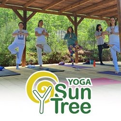 Yoga SunTree