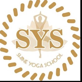 Shine Yoga School by Ariel logo