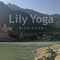 Lily Yoga Rishikesh
