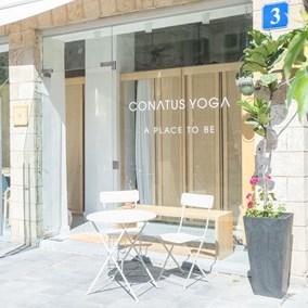 Conatus Yoga and Meditation College logo